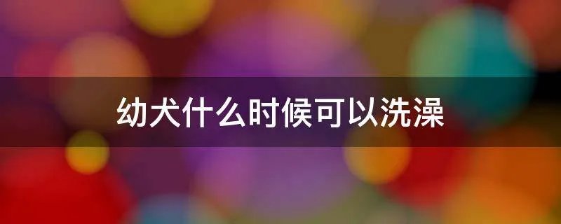 幼犬什么时候可以洗澡