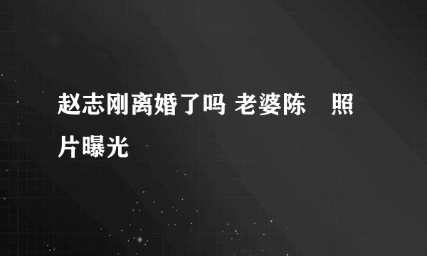 赵志刚离婚了吗 老婆陈湜照片曝光