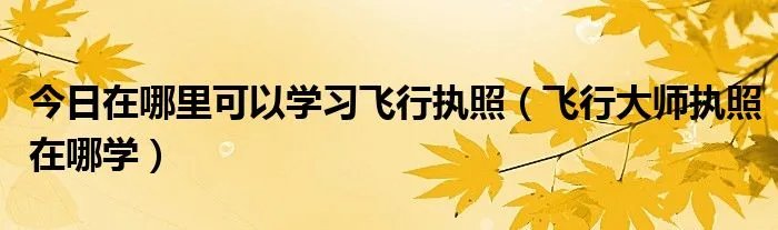 今日在哪里可以学习飞行执照（飞行大师执照在哪学）