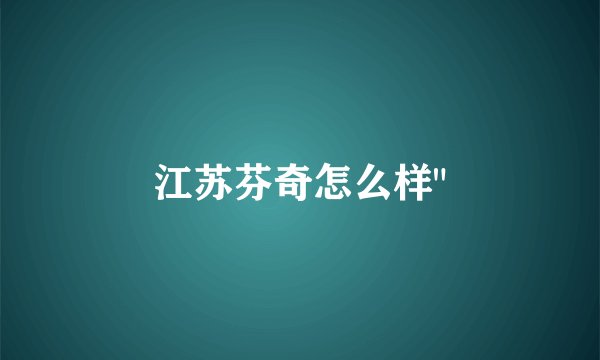 江苏芬奇怎么样