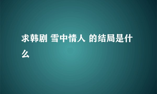 求韩剧 雪中情人 的结局是什么
