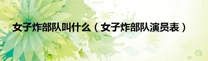 女子炸部队叫什么（女子炸部队演员表）