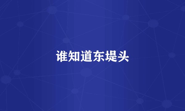 谁知道东堤头