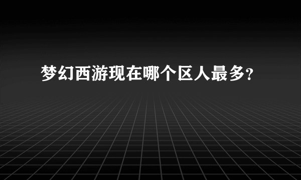 梦幻西游现在哪个区人最多？