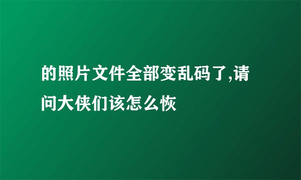 的照片文件全部变乱码了,请问大侠们该怎么恢復