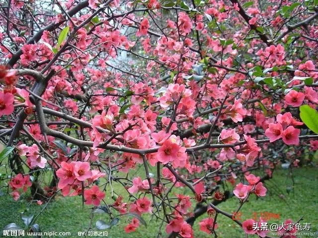 张北草原玩去,在怀来县或者张家口住一夜,想问问怀来县和张家口有什么特色美食吗?