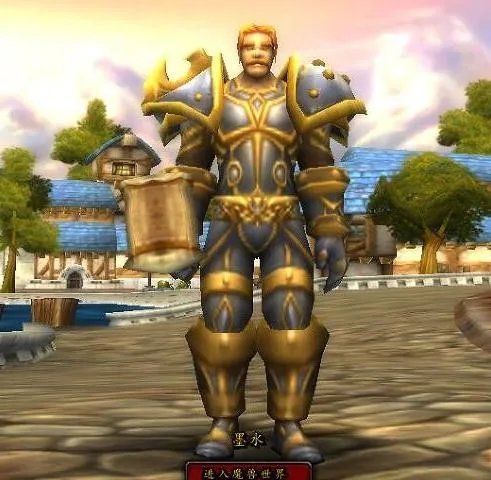 怎样评价魔兽世界私服?