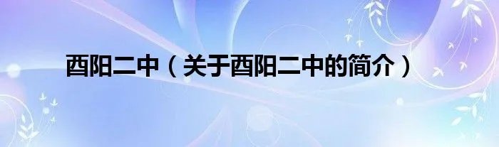 酉阳二中（关于酉阳二中的简介）
