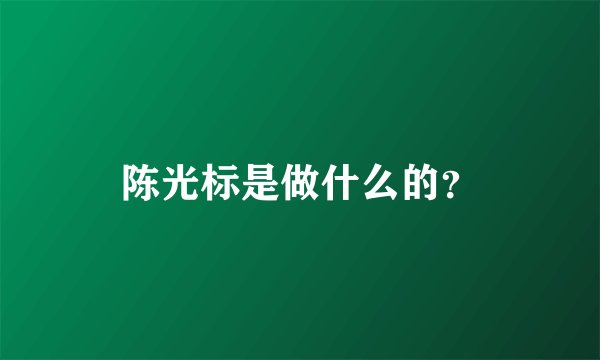 陈光标是做什么的？