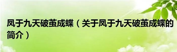 凤于九天破茧成蝶（关于凤于九天破茧成蝶的简介）