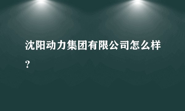 沈阳动力集团有限公司怎么样？