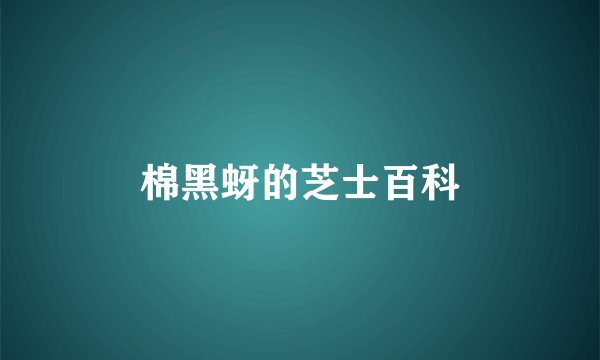 棉黑蚜的芝士百科