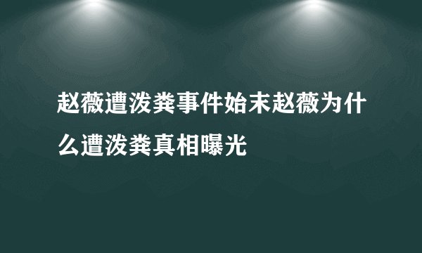 赵薇遭泼粪事件始末赵薇为什么遭泼粪真相曝光