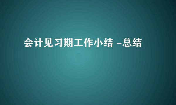 会计见习期工作小结 -总结
