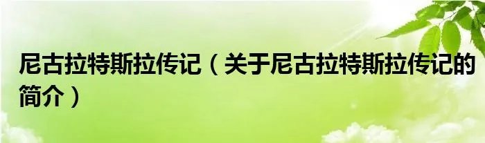 尼古拉特斯拉传记（关于尼古拉特斯拉传记的简介）