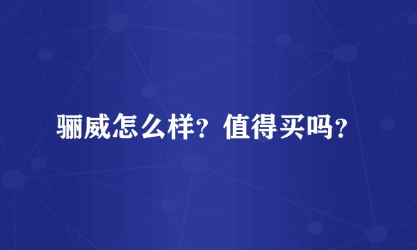 骊威怎么样？值得买吗？
