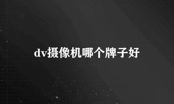 dv摄像机哪个牌子好