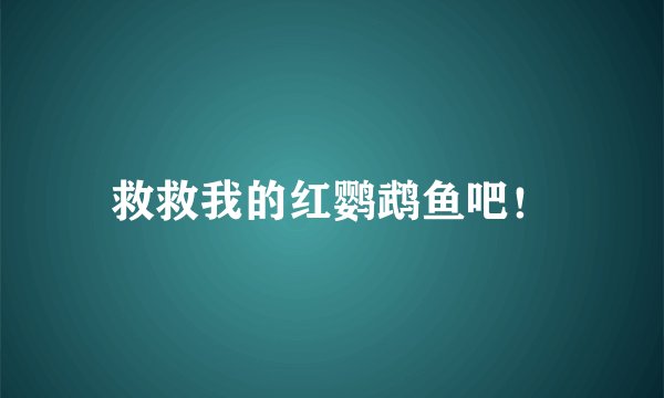 救救我的红鹦鹉鱼吧！