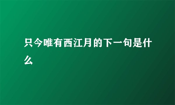 只今唯有西江月的下一句是什么