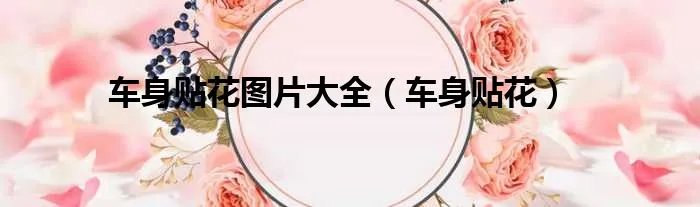 车身贴花图片大全（车身贴花）