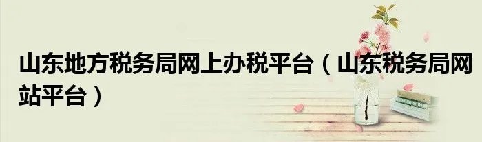 山东地方税务局网上办税平台(山东税务局网站平台)