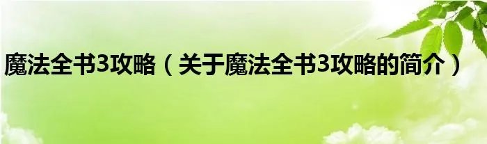 魔法全书3攻略（关于魔法全书3攻略的简介）