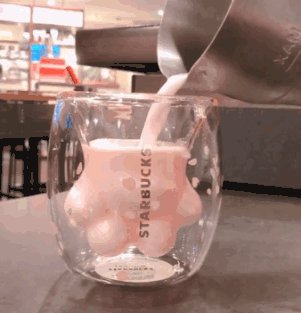 为猫爪杯大打出手什么情况:详情始末猫爪杯怎么火的