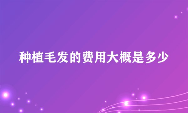 种植毛发的费用大概是多少
