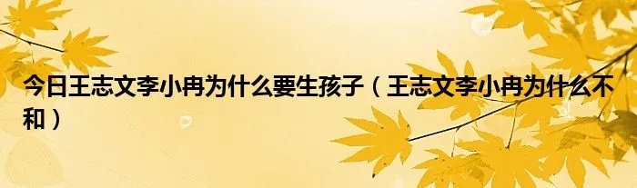 今日王志文李小冉为什么要生孩子(王志文李小冉为什么不和)