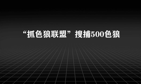 “抓色狼联盟”搜捕500色狼