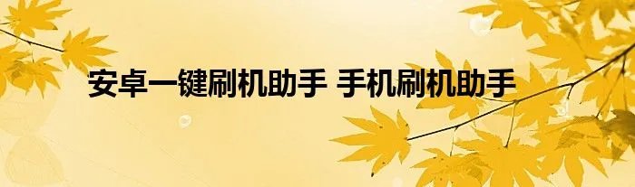 安卓一键刷机助手 手机刷机助手