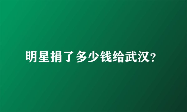明星捐了多少钱给武汉？