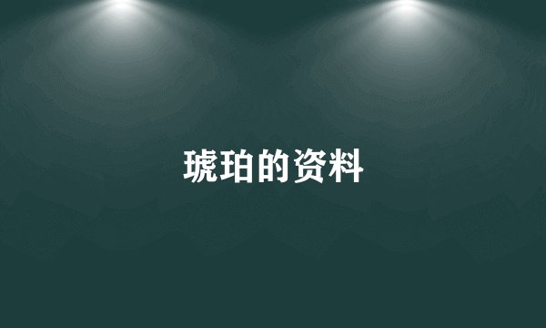 琥珀的资料