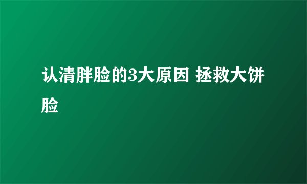 认清胖脸的3大原因 拯救大饼脸