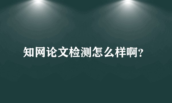 知网论文检测怎么样啊？
