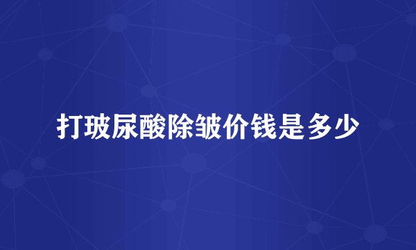 打玻尿酸除皱价钱是多少