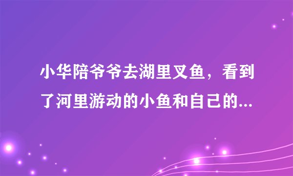 小华陪爷爷去湖里叉鱼，看到了河里游动的小鱼和自己的倒影，根据这个情景回答如下问题：（1）小华看到“鱼”的比实际位置___了（升高$/$降低)，这是光的___现象造成的.若小华将电筒光对着看到的“鱼”射入$,$___(能$/$不能）照亮鱼.（2）小华看到自己的倒影是___像（实$/$虚)，如果小华到水面的距离是$2m$则像到水面的距离___$2m($大于$/$小于$/$等于$/)$.（3）爷爷用桨向后划水，小船就向前运动，这说明＿＿＿.
