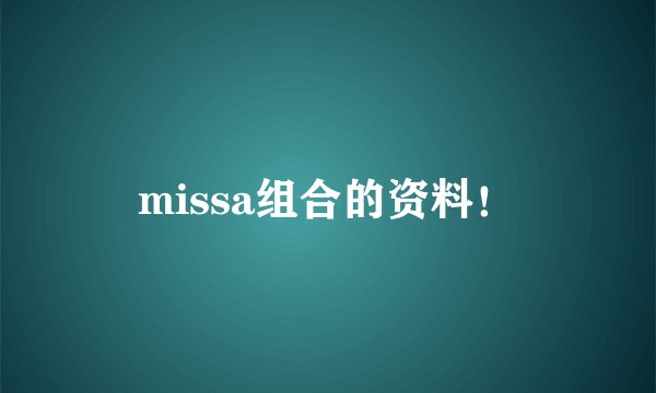 missa组合的资料！