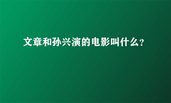 文章和孙兴演的电影叫什么？