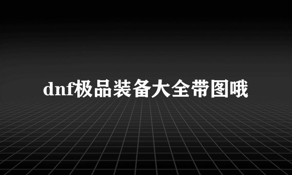 dnf极品装备大全带图哦
