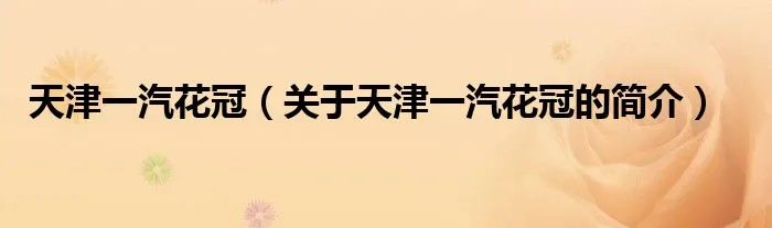 天津一汽花冠（关于天津一汽花冠的简介）