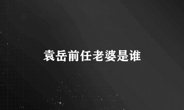 袁岳前任老婆是谁