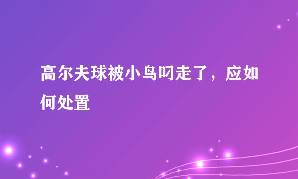 高尔夫球被小鸟叼走了，应如何处置
