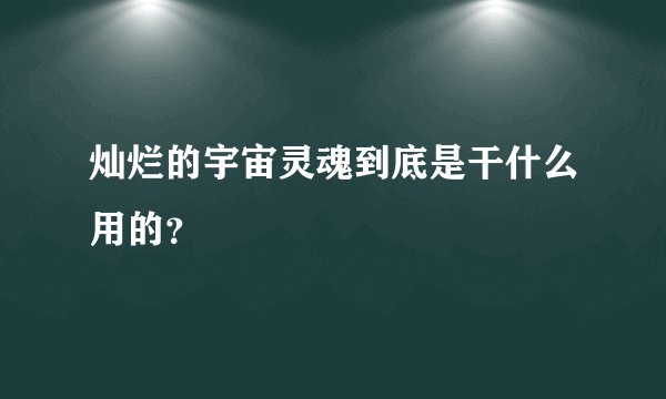 灿烂的宇宙灵魂到底是干什么用的？