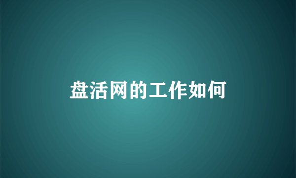 盘活网的工作如何