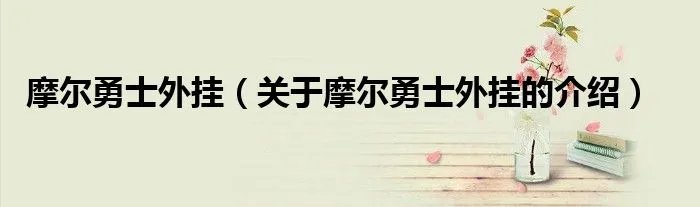 摩尔勇士外挂（关于摩尔勇士外挂的介绍）