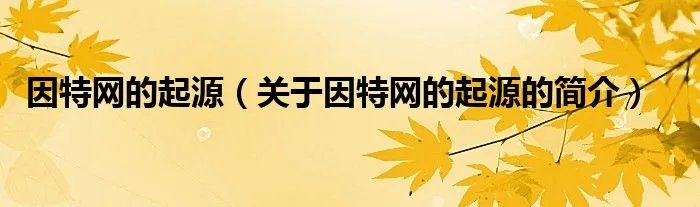 因特网的起源（关于因特网的起源的简介）