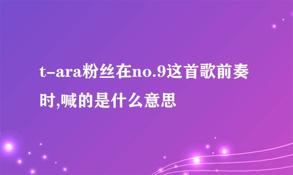 t-ara粉丝在no.9这首歌前奏时,喊的是什么意思