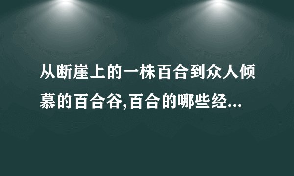 从断崖上的一株百合到众人倾慕的百合谷,百合的哪些经历深深触动了你或给了你启示谈一