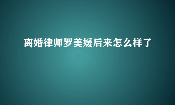 离婚律师罗美媛后来怎么样了